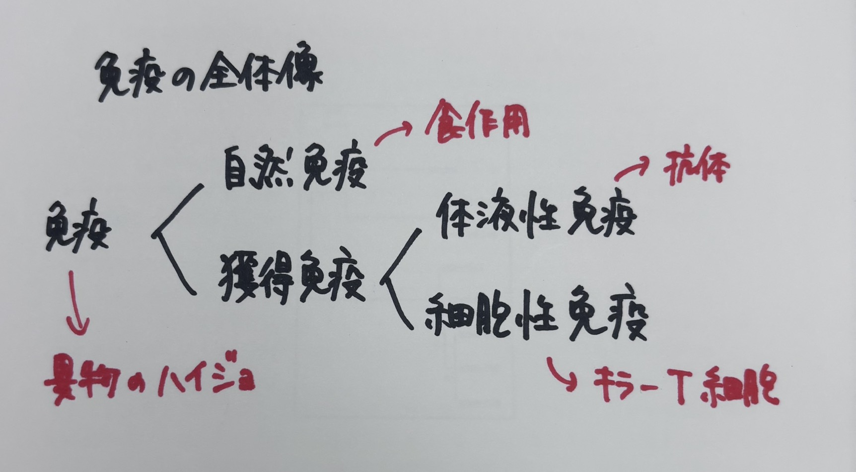 免疫の全体像を示した図。免疫が自然免疫と獲得免疫に分かれ、獲得免疫が体液性免疫と細胞性免疫に分かれることを説明している
