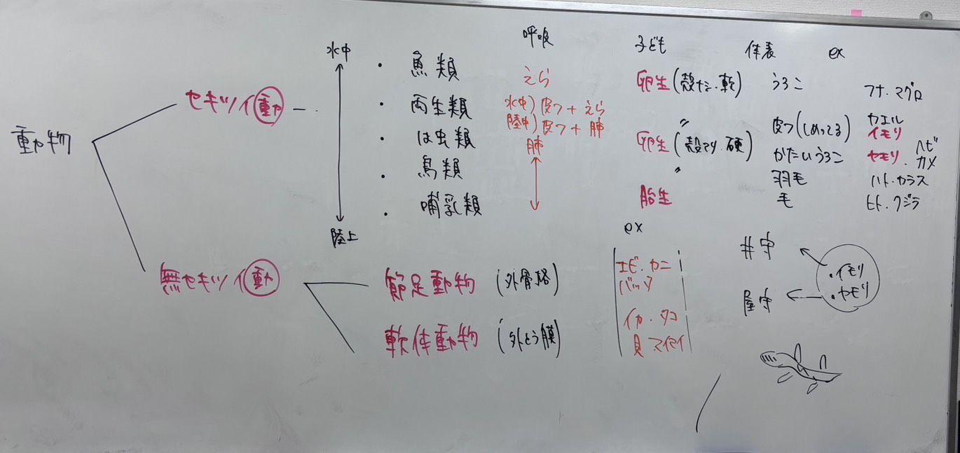 オーオンの授業で使ったホワイトボードの板書